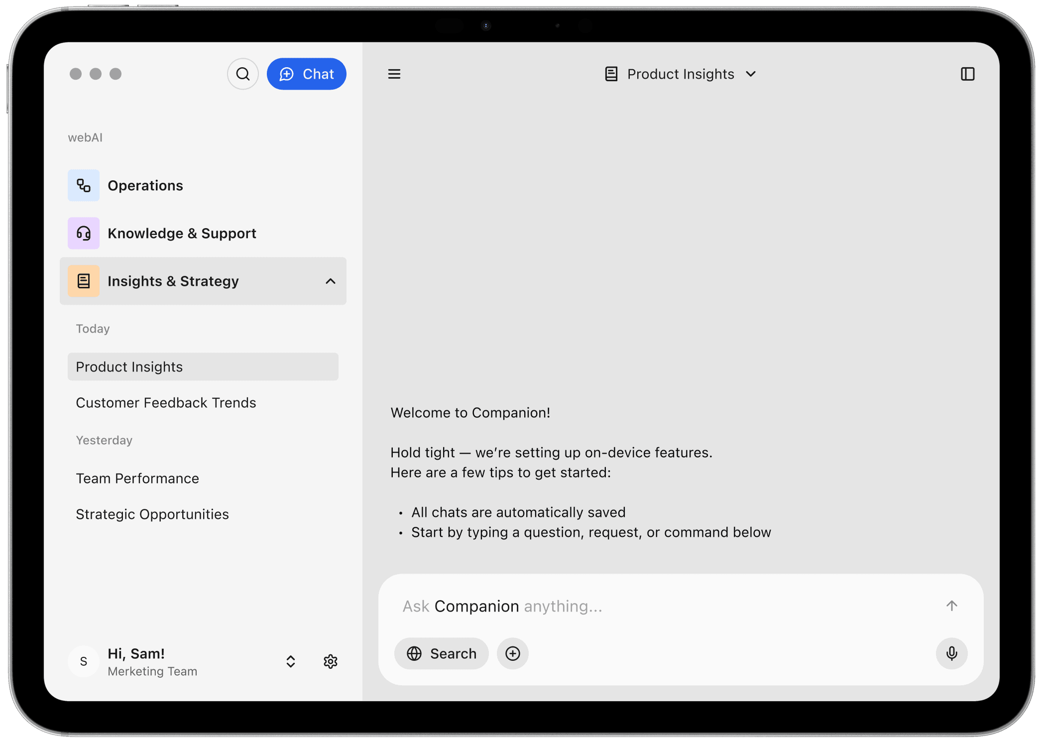 A tablet screen displays a chat interface labeled "Companion." It features sidebar menu items like "Insights & Strategy" and a welcome message.